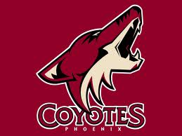 Coyotes betting